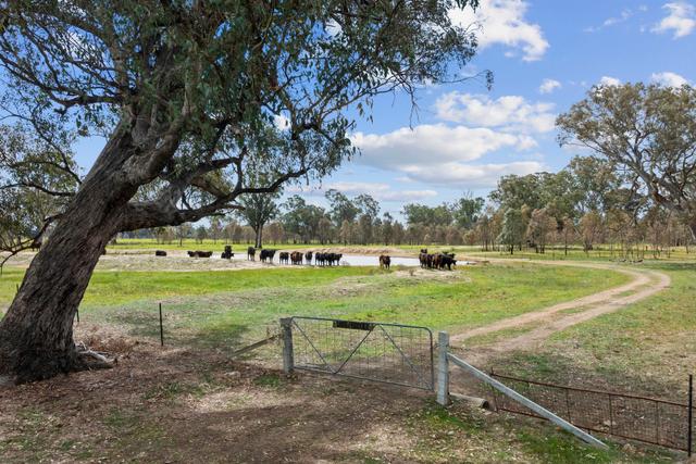 19A & 20A Balmattum North Road, VIC 3666