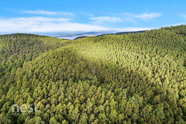 Lot 2 Slab Road, TAS 7163