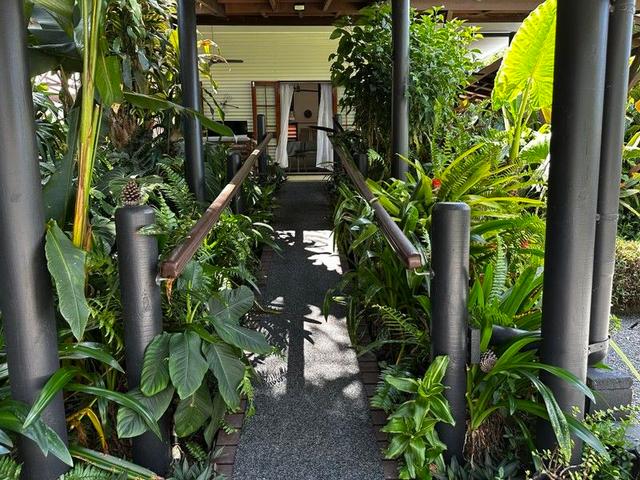 37 Scrub Street, QLD 4881