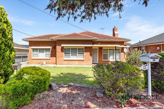 12 Tralee Avenue, SA 5083