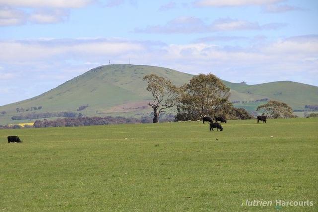 279 Eastern Hill Road, VIC 3364
