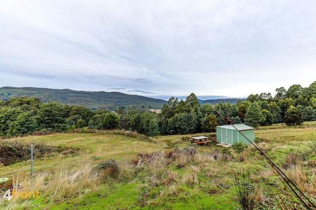 19 Nowlan Close, TAS 7306