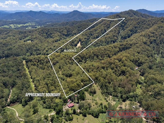 695 Bellingen Rd, NSW 2449