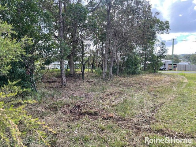 20 Carissa Street, QLD 4184