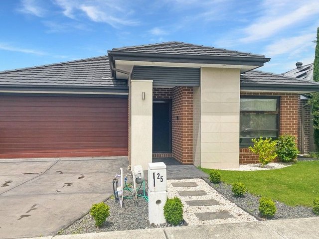 25 Everard Ave, VIC 3978