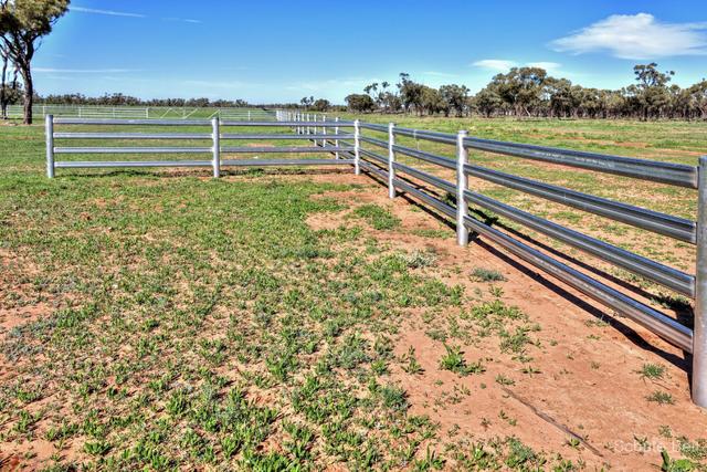 Narran Lake Road, NSW 2839
