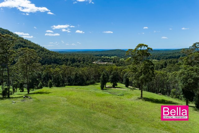 Lot 1 Monkey Mountain Road, NSW 2539