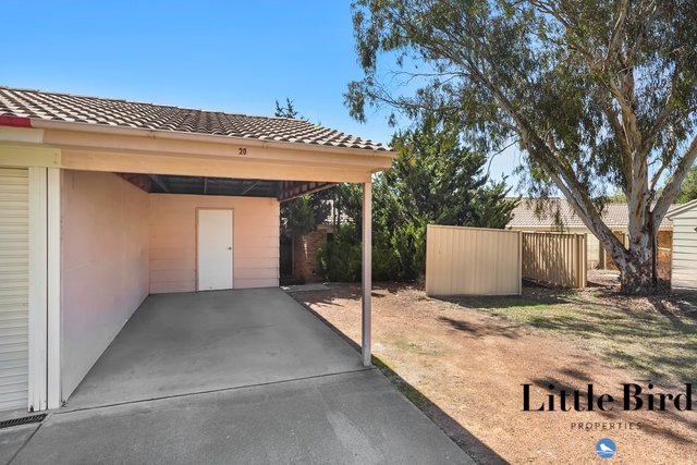 20/20 Burdett Cres, ACT 2905