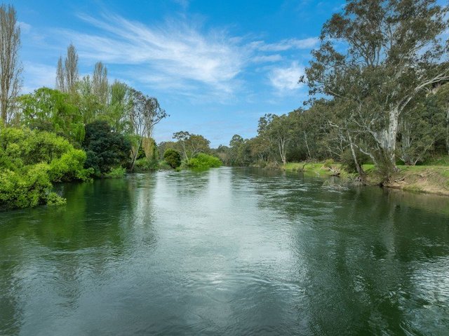 426 Back Eildon Road, VIC 3712