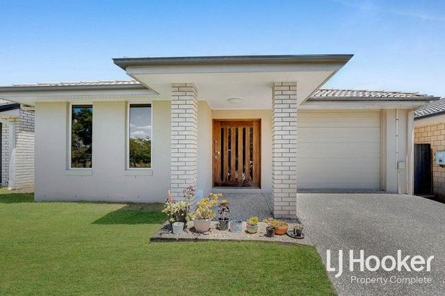 41 Bernard Circuit, QLD 4207