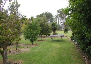 Backyard (2008-03-27)