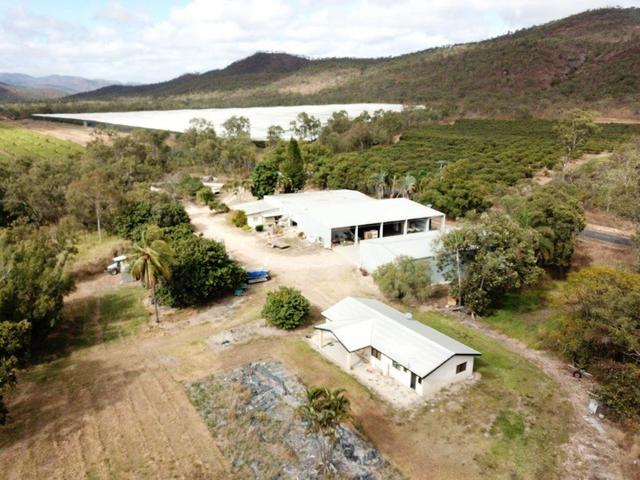 403 Springmount Road, QLD 4872