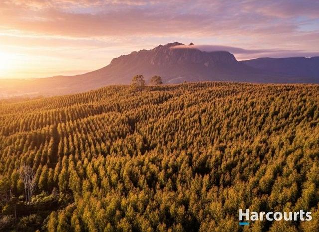 220 Holmes Road, TAS 7306