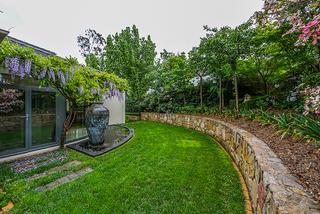 Rear Garden (2014-10-15)