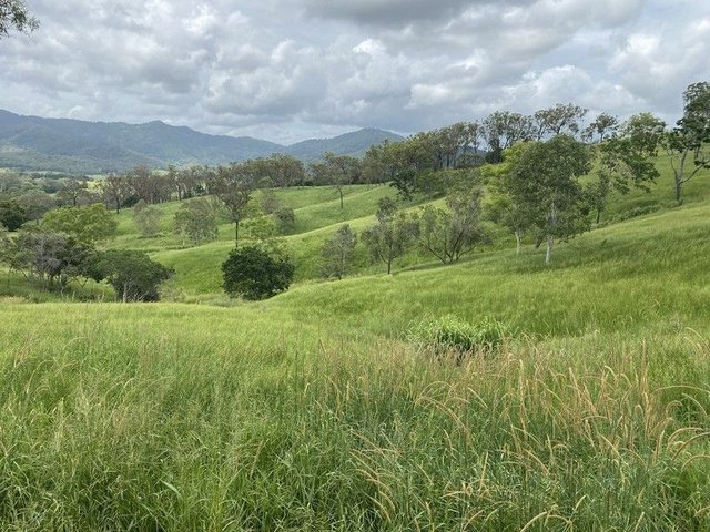 558 Marlborough-Sarina Road, QLD 4737