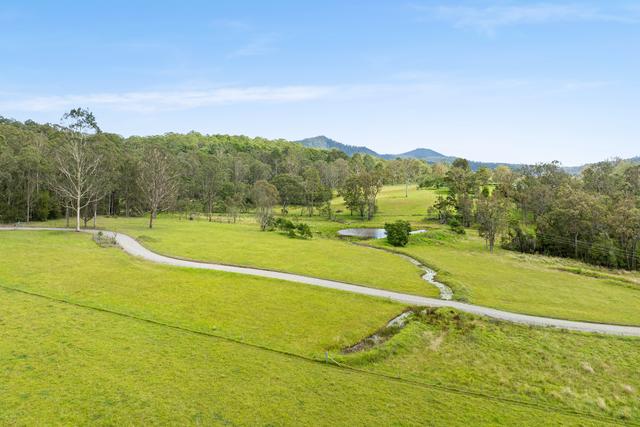 552 Larrys Mountain Road, NSW 2537