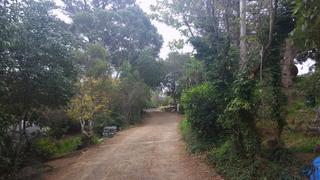 Looking toward Beatty Crescent