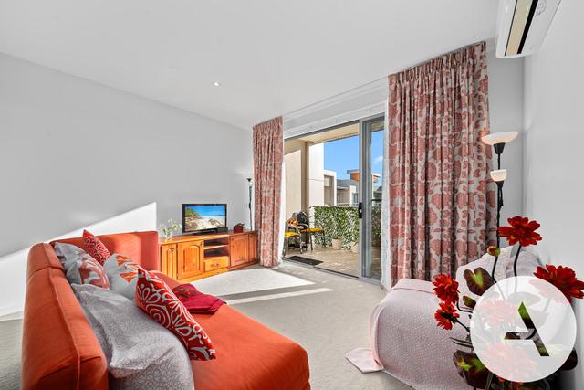 64/227 Flemington Rd, ACT 2913