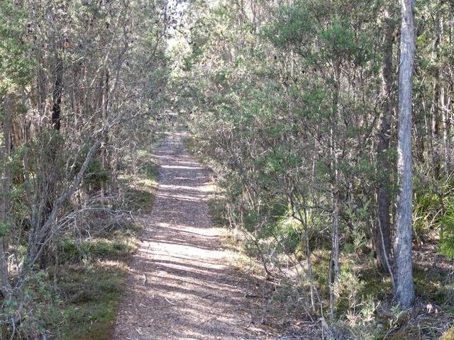 Bradys Plains Road, TAS 7304