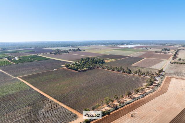 173 Alkira Road, VIC 3505