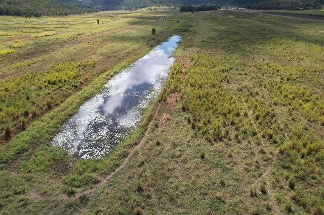 LOT 204 Gregory River Rd, QLD 4800