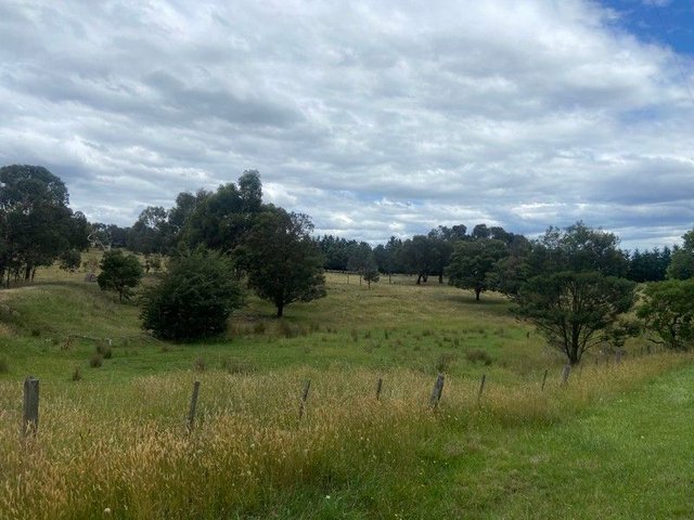 65 Braemore Place, VIC 3753