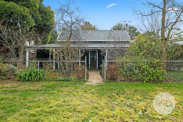 51 O'Connor Street, NSW 2652