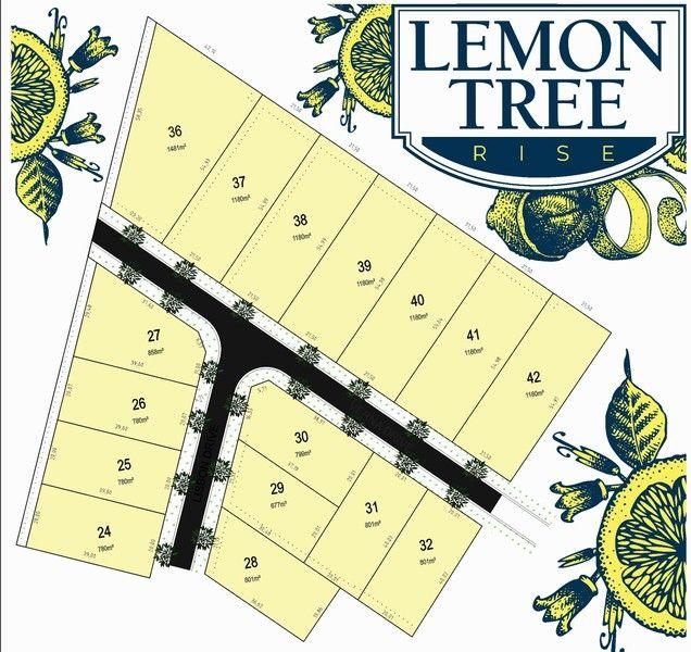 Lots 24-42 Lemon Tree Rise, VIC 3644