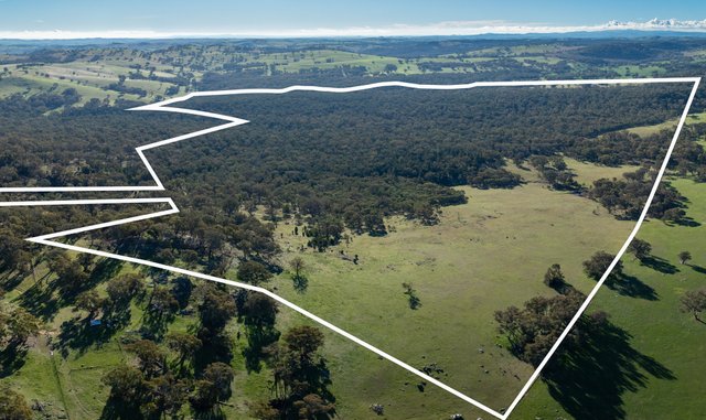 Lot 1, 244 Cobb Drive, NSW 2793