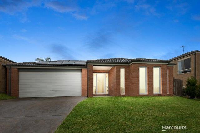 8 Sweet Gum Court, VIC 3810