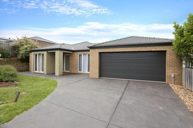 20 Skipton Street, VIC 3818