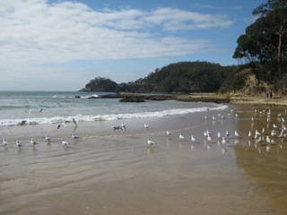 beach (2011-09-06)