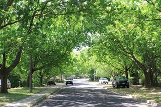 View of Street (2013-11-07)