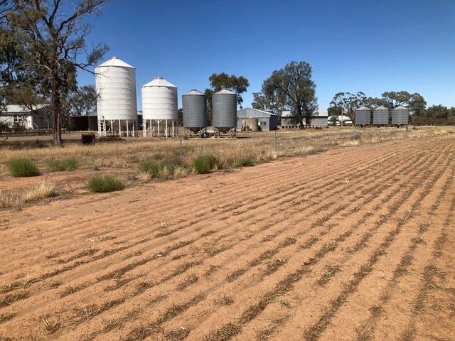 Lot 1 Culgoa-Lalbert Road, VIC 3530