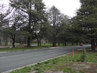 View of Telopea Park