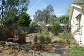Backyard (2012-10-16)