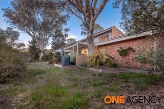 Rear garden (2019-10-09)
