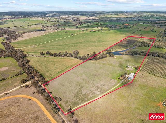 215 Bribbaree Road, NSW 2594