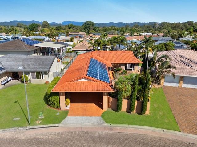 5 Blackbean Court, QLD 4221