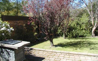 Rear garden