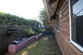 Backyard (2010-07-13)