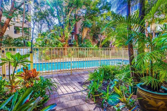 3/1 McDonald Street, NSW 2011