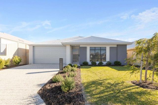 25 Butterfly Street, WA 6037