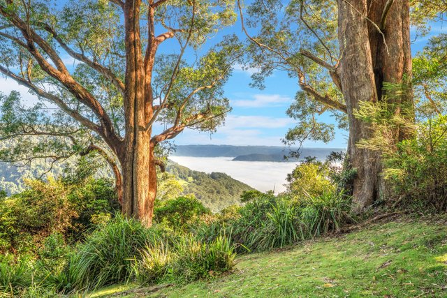 9 Cambewarra Lookout Road, NSW 2577