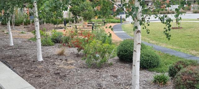 Frencham Street, ACT 2602