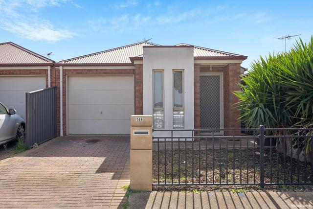 164 Petherton Road, SA 5114