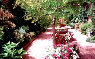 Courtyard Garden