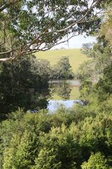 View to Corunna Lake