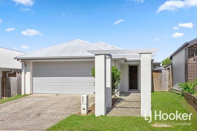 67 Daybreak Street, QLD 4207