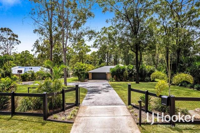 17-19 Spinebill Drive, QLD 4124